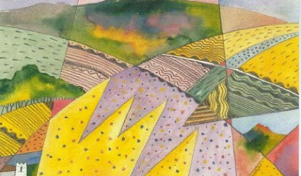 Devon Artist Network The Summer Show The Devon Daily